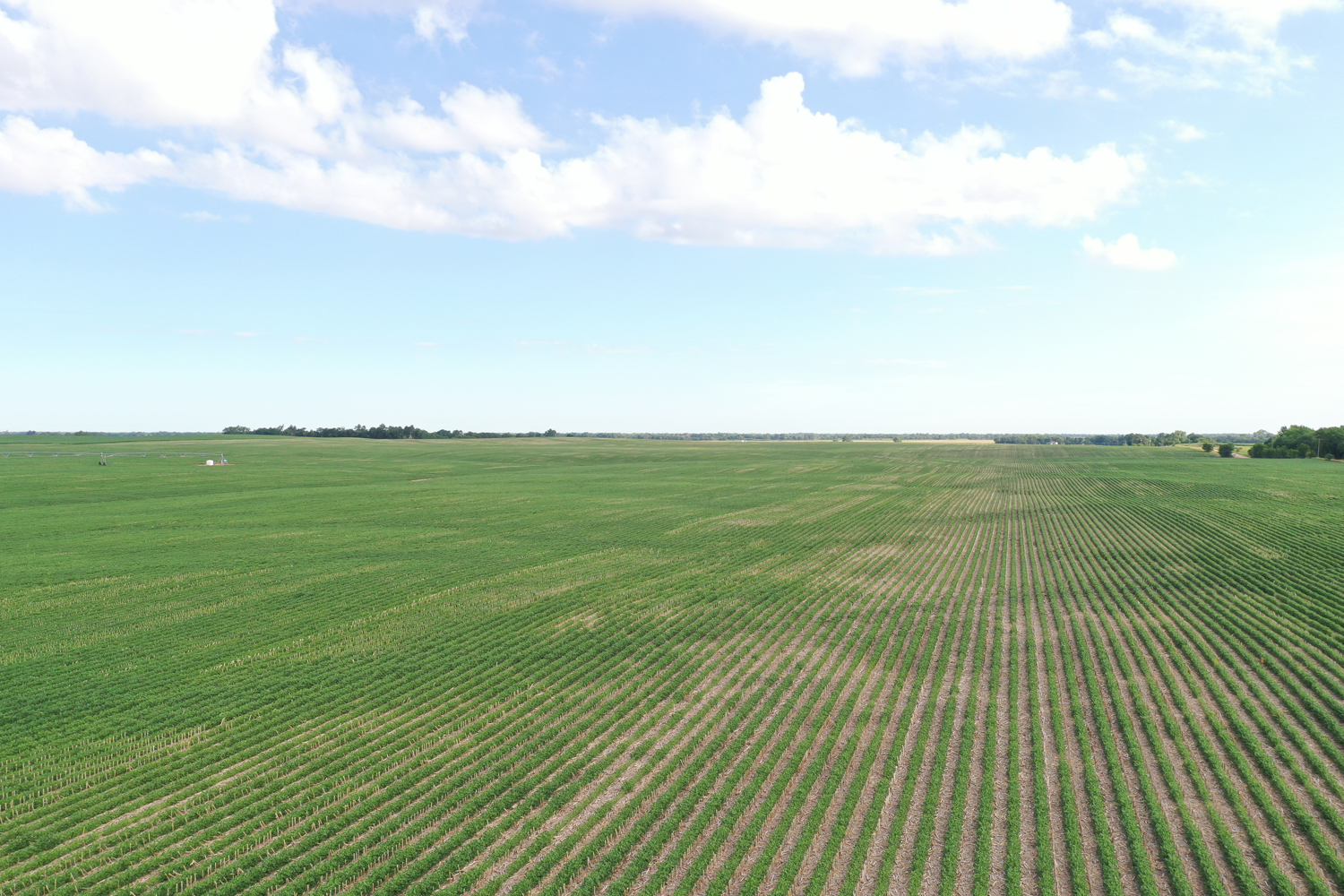 314.78 +/ Acre Irrigated Farm in Hall County AgWest Land Brokers